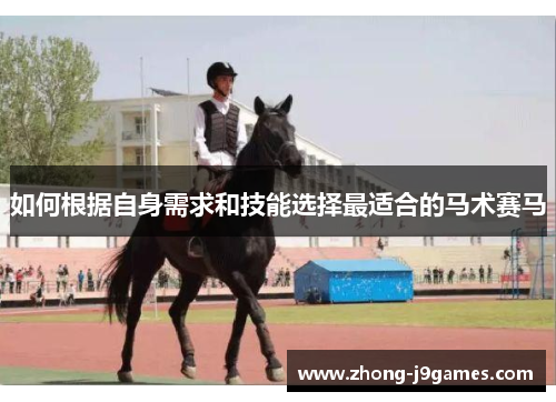 如何根据自身需求和技能选择最适合的马术赛马