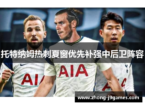 托特纳姆热刺夏窗优先补强中后卫阵容